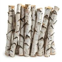 Birch logs isolated on white background photo