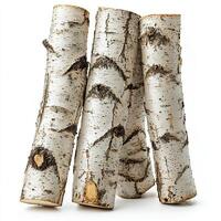 Birch logs isolated on white background photo