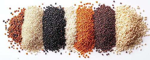 Variety of colorful seeds arranged on a white isolated background. photo