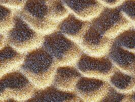 Close-up view of textured surface resembling sand patterns in nature. photo