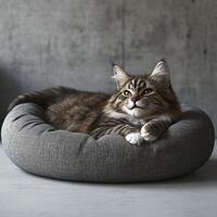 A cozy feline resting on a plush bed, showcasing a relaxed and serene mood. photo