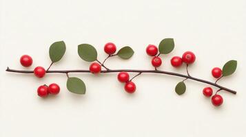 Bare branches with a small cluster of berries, light cream background, Ikebana minimal background, Japanese winter art photo