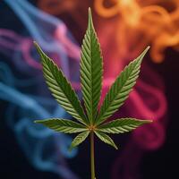 Closeup of colored cannabis leaf surrounded by swirling smoke forming a striking conceptual artwork photo