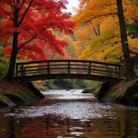 Picturesque autumn scene serene river flowing under colorful trees with a charming wooden bridge photo
