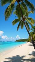 A tropical paradise unfolds on a summer day pristine sandy beaches turquoise waters and towering palm trees photo