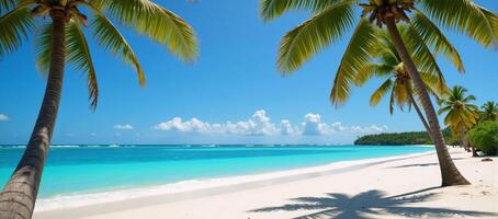 A tropical paradise unfolds on a summer day pristine sandy beaches turquoise waters and towering palm trees photo