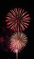 Stunning firework display featuring vivid colors exploding against a starry night sky photo