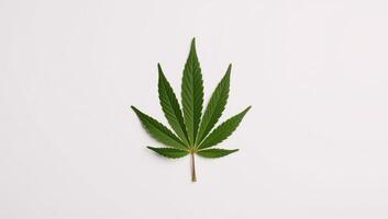 Isolated marijuana leaf on pure white backdrop Symbolizes natural growth wellness cannabis industry photo