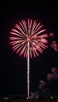 Redwhiteblue firework explosion lighting up the night sky photo