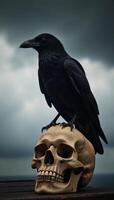 Black raven perched atop grimy skull amidst foreboding clouds photo