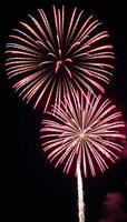 Fireworks burst vibrantly over a dark sky for IndependenceMemorial Day celebration photo