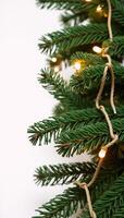 Christmasthemed border featuring lights garlands and coniferous branches photo