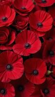Collection of assorted red floral motifs photo