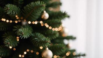 A Christmas Tree amidst a softly blurred backdrop photo