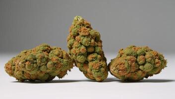 Medical cannabis represented as dried greenbrown cannabis buds with visible stems photo