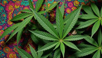 Vibrant abstractsurreal depiction of a trippy background featuring marijuana leaves and smiling consumers in a psychedelic style symbolizing THC legalization photo