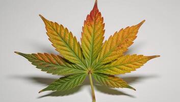 Vibrant paint rendition depicting cannabis leaf on colorful backdrop photo