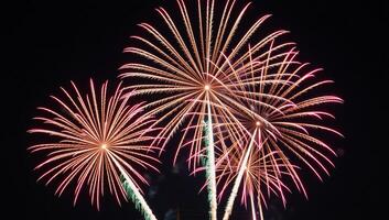 A vibrant fireworks show lights up the dark evening skies photo