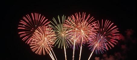 Bold and vibrant nighttime firework show photo