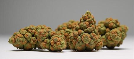 Medical cannabis represented as dried greenbrown cannabis buds with visible stems photo