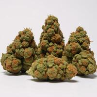 Medical cannabis represented as dried greenbrown cannabis buds with visible stems photo