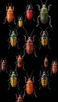 Colors pop as a variety of bugs and beetles scatter across a dark background Top View photo