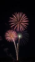 Vibrant firework display against starry backdrop at nighttime photo