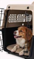 Pet transportation container with an opentop design to easily carry small pets carrier photo