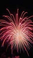 Colorful fireworks illuminate a night sky on a black backdrop photo
