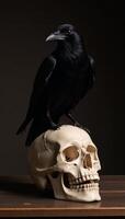A raven perched upon a human skull photo
