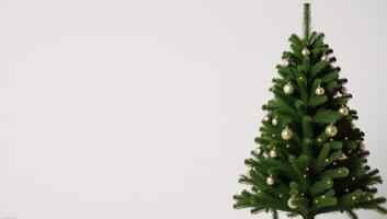 Green Christmas Tree against White Background photo