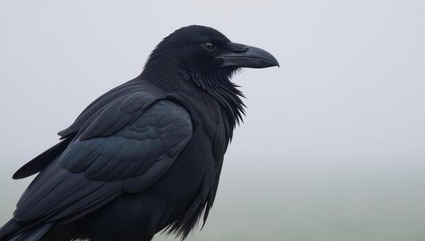 Misty scene showcases a dark raven boasting intricately detailed feathers photo