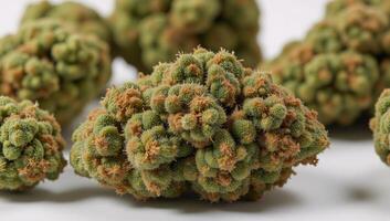 Upclose portrait showcasing flowering buds of a medicinal cannabis strain Marijuana photo