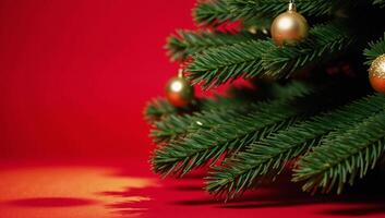 A Christmas tree top against a bright red backdrop photo