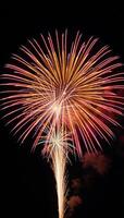 Stylized firework elements added to artwork for vibrant effect Vibrant Colorful photo