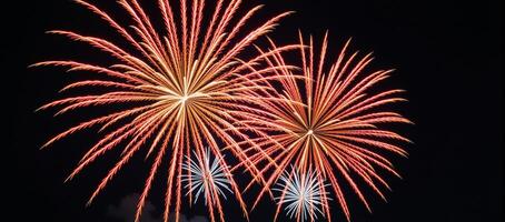 Stylized firework elements added to artwork for vibrant effect Vibrant Colorful photo
