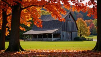 Autumn scene featuring vibrant leaf colors surrounding an oldfashioned barn photo