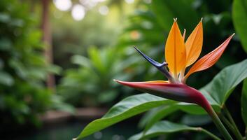 Tropical flowerfilled backdrop for a Disney Princess portrait Photorealistic Detailed Skin High Details photo