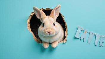 Fluffy Easter Bunny emerges from a torn hole in a bluewalled setting photo
