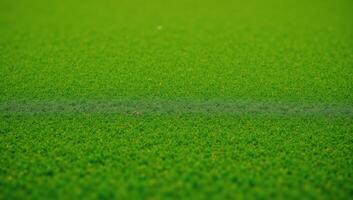 A beautiful green putt surrounds the foreground photo