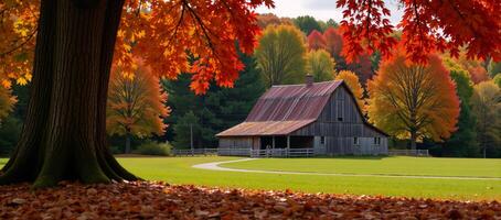 Autumn scene featuring vibrant leaf colors surrounding an oldfashioned barn photo
