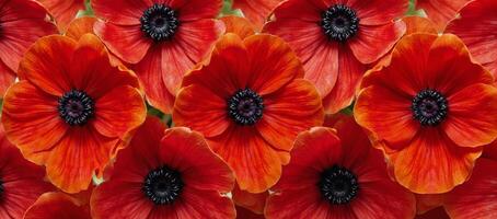 Stylized artwork featuring intricate patterns of elegant redorange anemone flowers Abstract photo