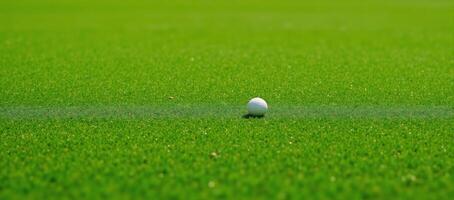 A beautiful green putt surrounds the foreground photo