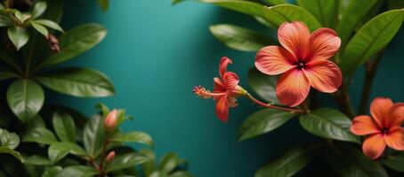Tropical flowerfilled backdrop for a Disney Princess portrait Photorealistic Detailed Skin High Details photo