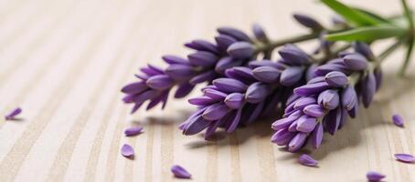 Dried lavender buds framing a light wood surface photo