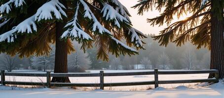Cozy rural Christmas scene snowy evergreens rustic wood fences under warm golden light photo