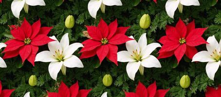 A cheerful festive blend of poinsettias lilies lush greenery and sparkling decorations in a seamless pattern photo