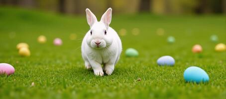 White rabbit sprinting through a colorful Easter eggstrewn meadow photo