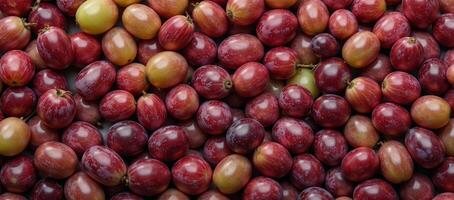 A vibrant texture background showcases scattered grape clusters filling the frame photo
