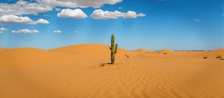 Wideangle view of a midday Mexican desert landscape generated photo